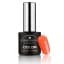 Cosmetics Zone