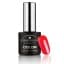 Cosmetics Zone