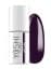 Plum 6ml