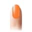 nerwus 7ml