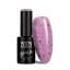 Purple Nr488