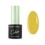 Cosmetics Zone