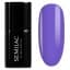 PURR-PLE 7ml