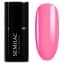GUAVA 7ml