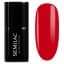 RASPBERRY 7ml