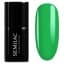 APPLETINI 7ml