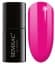 CHARM 7ml