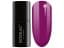 Fiolet 7ml
