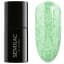 PISTACHIOS 7ML
